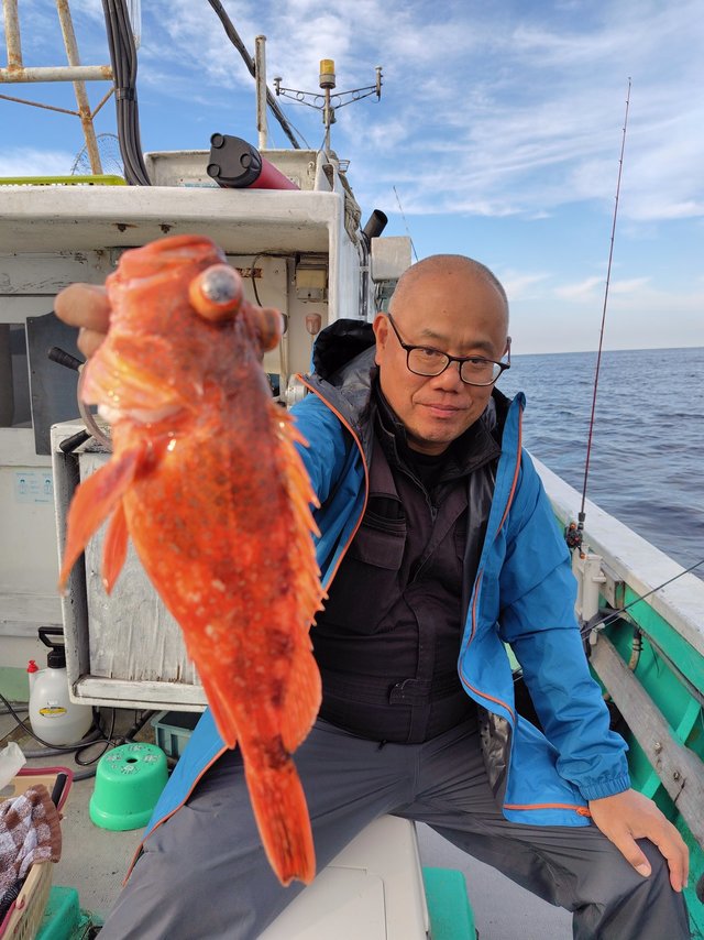 ガシラ(カサゴ)