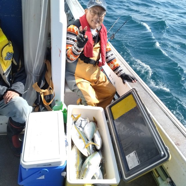 ヤズ(ブリ)・ヒラマサ