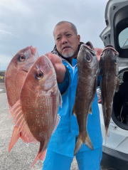 マダイ・メジナ