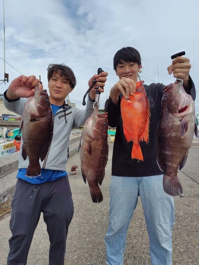 キジハタ・キントキ(チカメキントキ)・ハタ(マハタ)