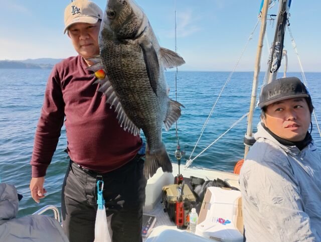 チヌ(クロダイ)