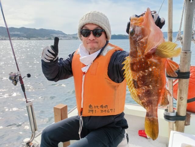 アコウ(キジハタ)