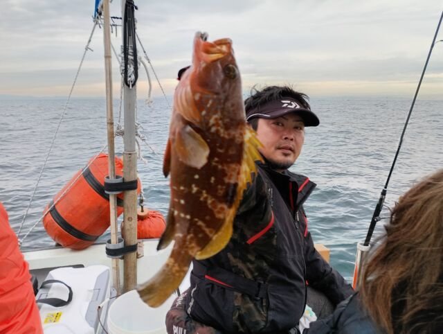 アコウ(キジハタ)