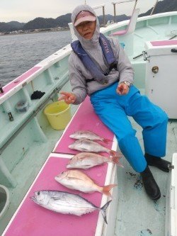 マダイ・ヒラソーダ(ヒラソウダ)