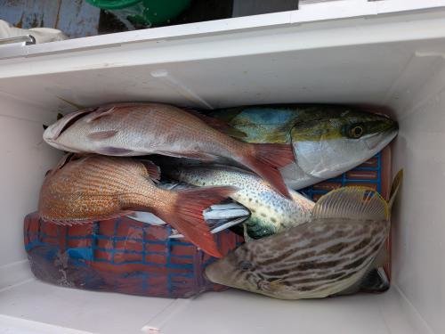 マダイ・イナダ(ブリ)・カワハギ・サバ(ゴマサバ)