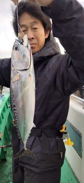 ソーダガツオ(マルソウダ)