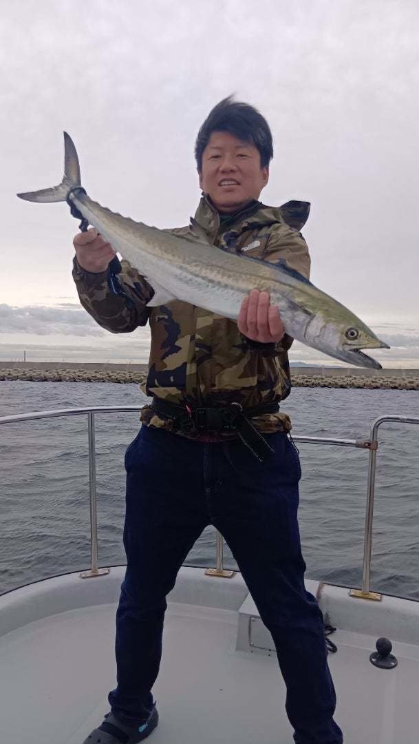 サゴシ(サワラ)