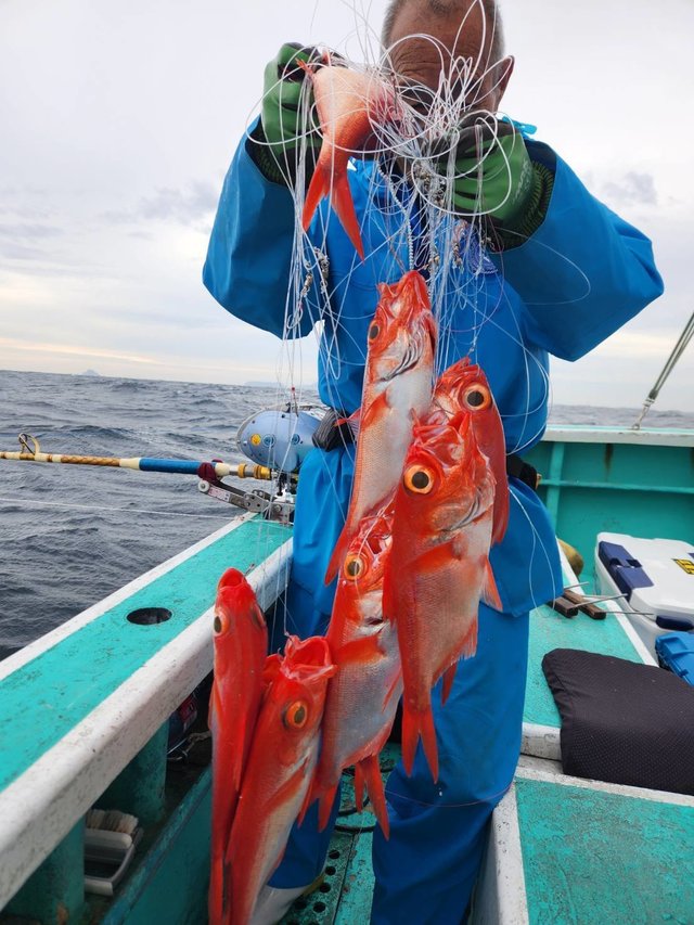 キンメ(キンメダイ)