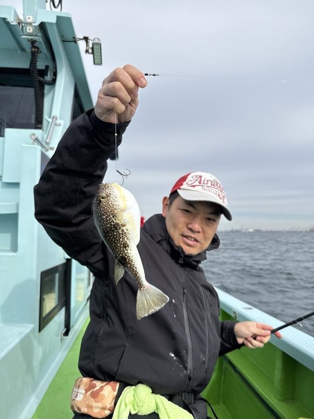 フグ(ショウサイフグ)