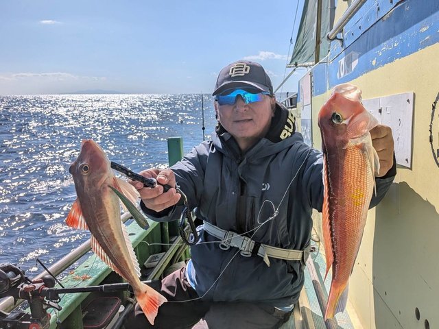 アマダイ(アカアマダイ)