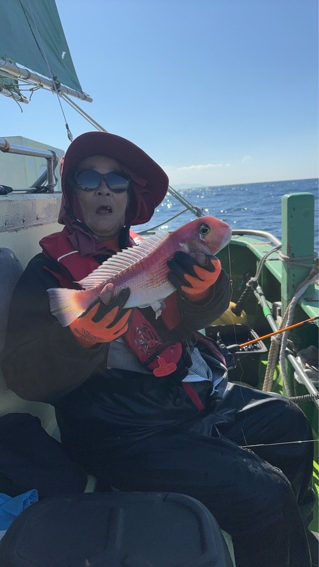 アマダイ(アカアマダイ)