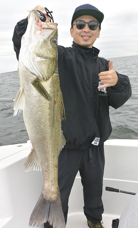 シーバス(スズキ)