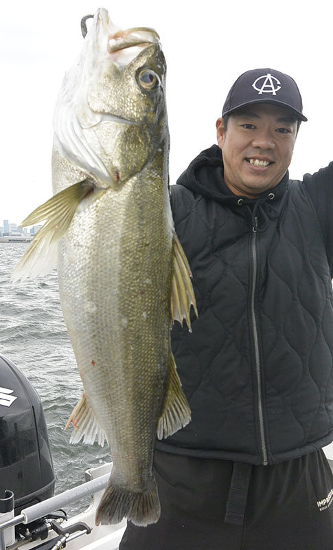 シーバス(スズキ)