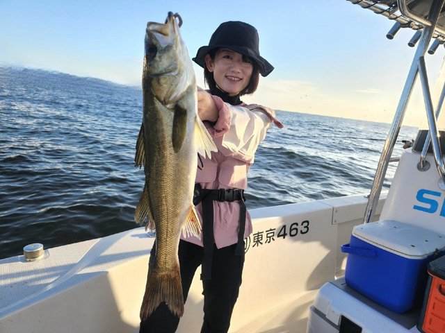 シーバス(スズキ)