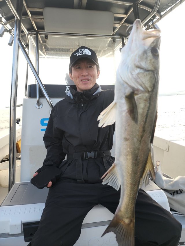 シーバス(スズキ)