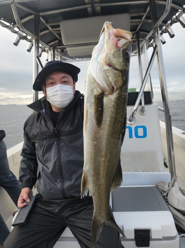 シーバス(スズキ)