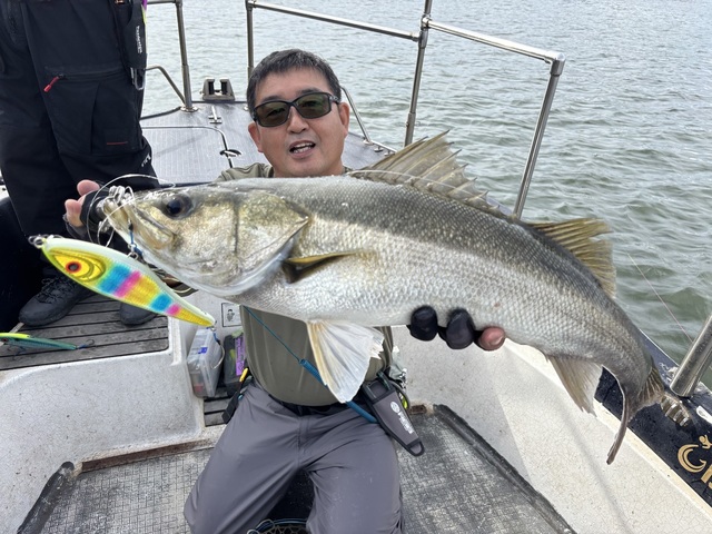 シーバス(スズキ)