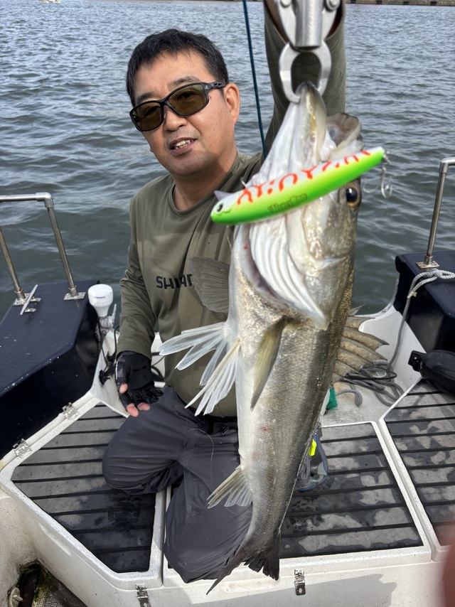 シーバス(スズキ)