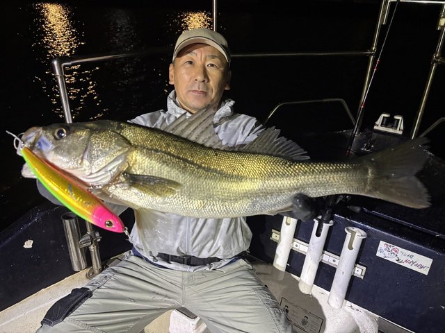 シーバス(スズキ)