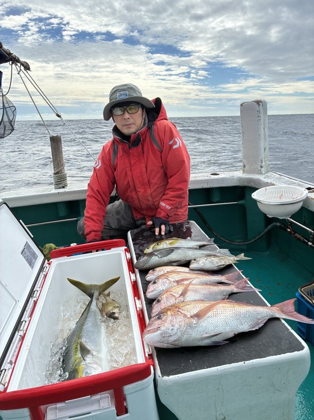 マダイ・グレ(メジナ)・ブリ・メイチダイ