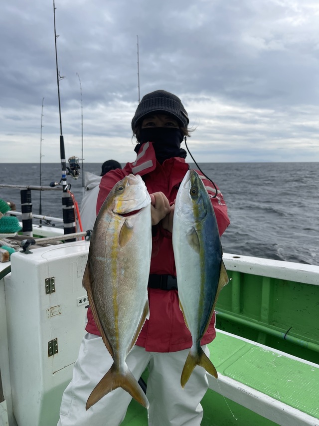 イナダ(ブリ)・ショゴ(カンパチ)