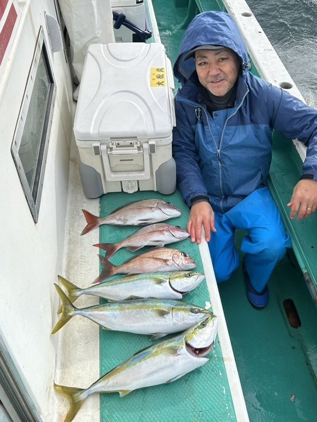 マダイ・イナダ(ブリ)