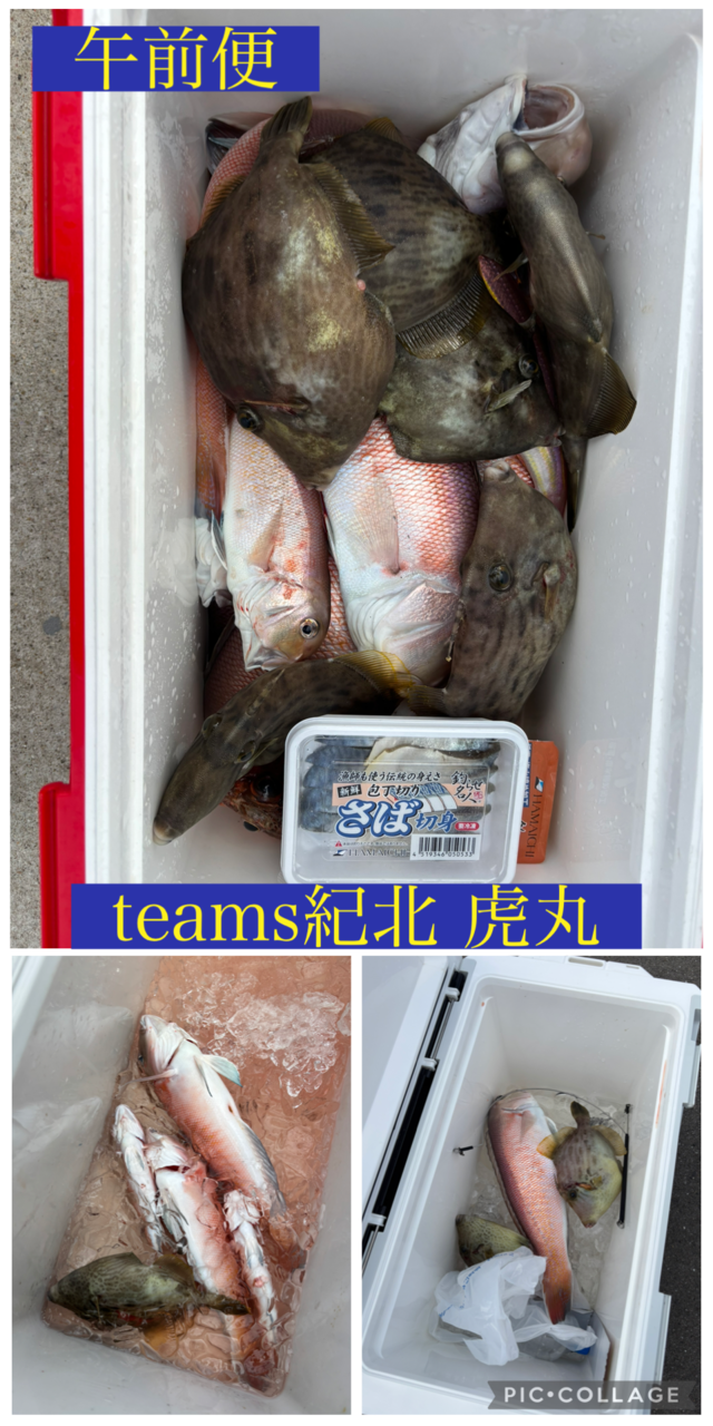 シロアマダイ・カワハギ