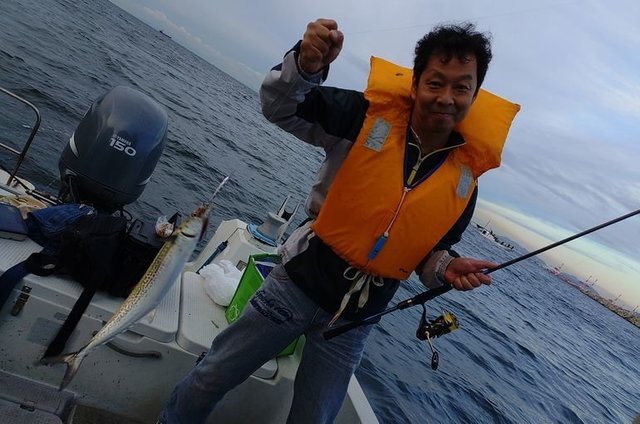 サゴシ(サワラ)