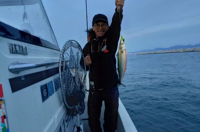 サゴシ(サワラ)