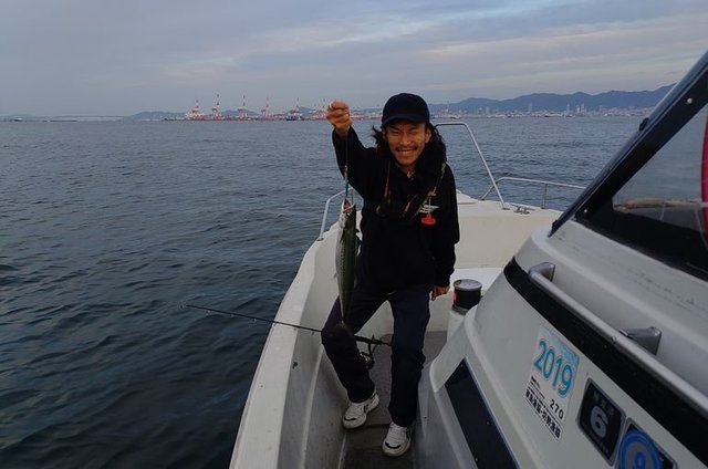 サゴシ(サワラ)