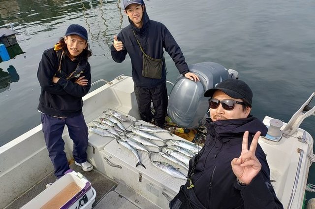 サゴシ(サワラ)