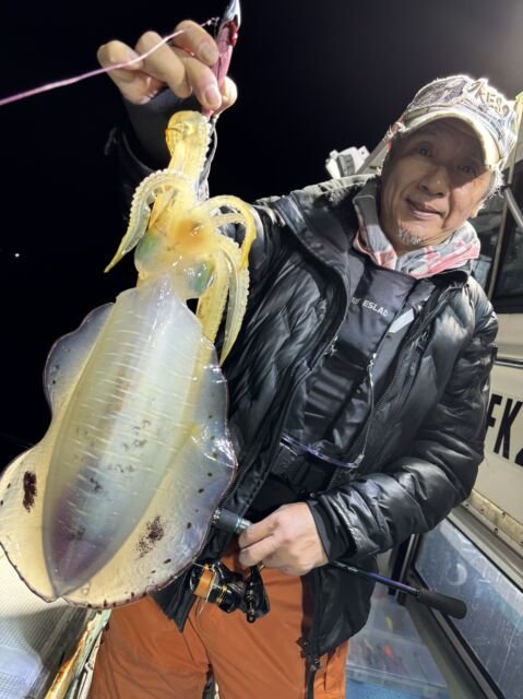 アオリ(アオリイカ)