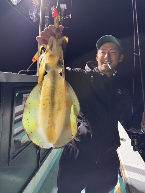 アオリ(アオリイカ)