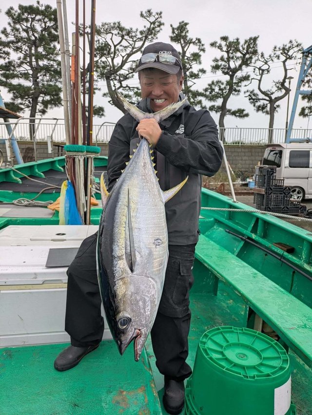 キメジ(キハダ)