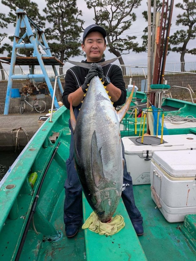 キメジ(キハダ)