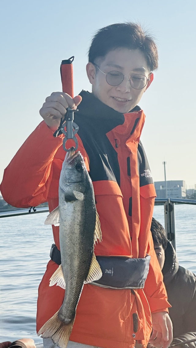 シーバス(スズキ)