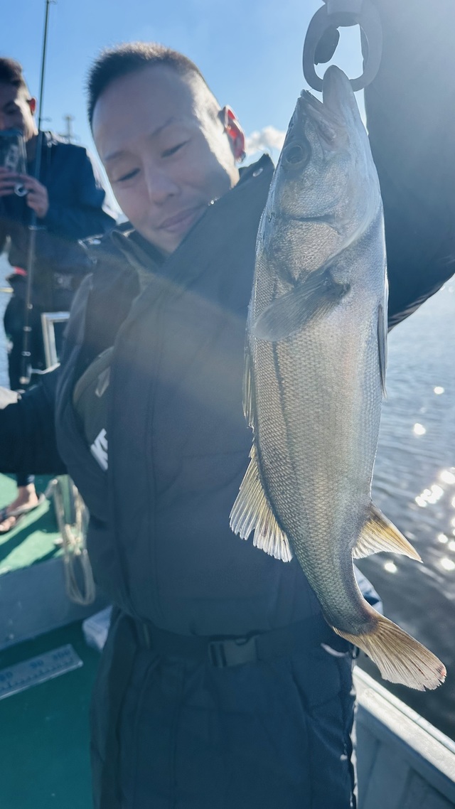 シーバス(スズキ)