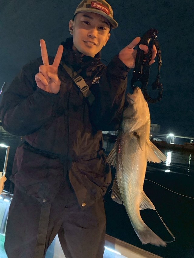 シーバス(スズキ)