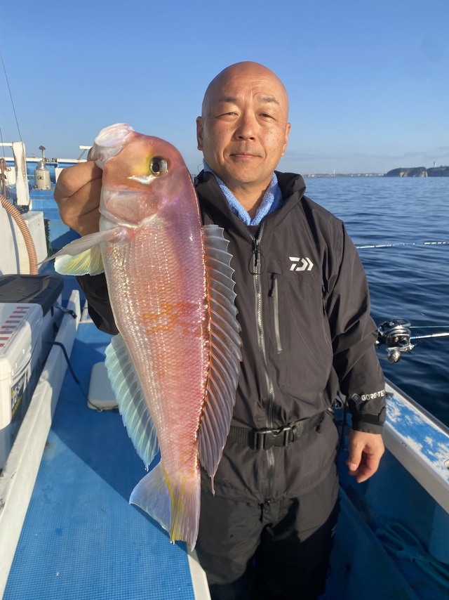 アマダイ(アカアマダイ)