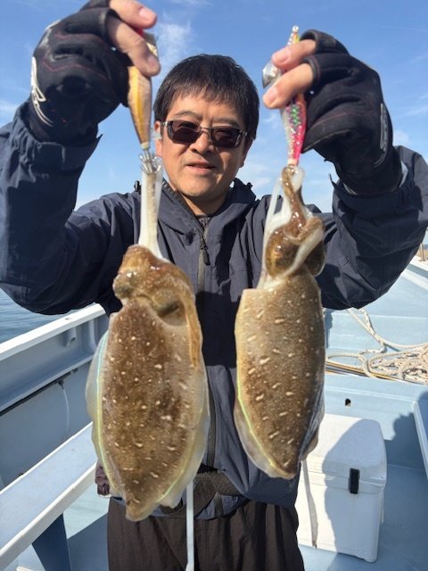 モンゴウイカ(カミナリイカ)