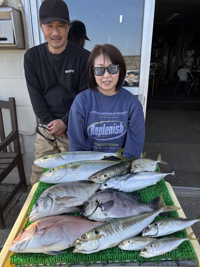 マダイ・アジ(マアジ)・イナダ(ブリ)
