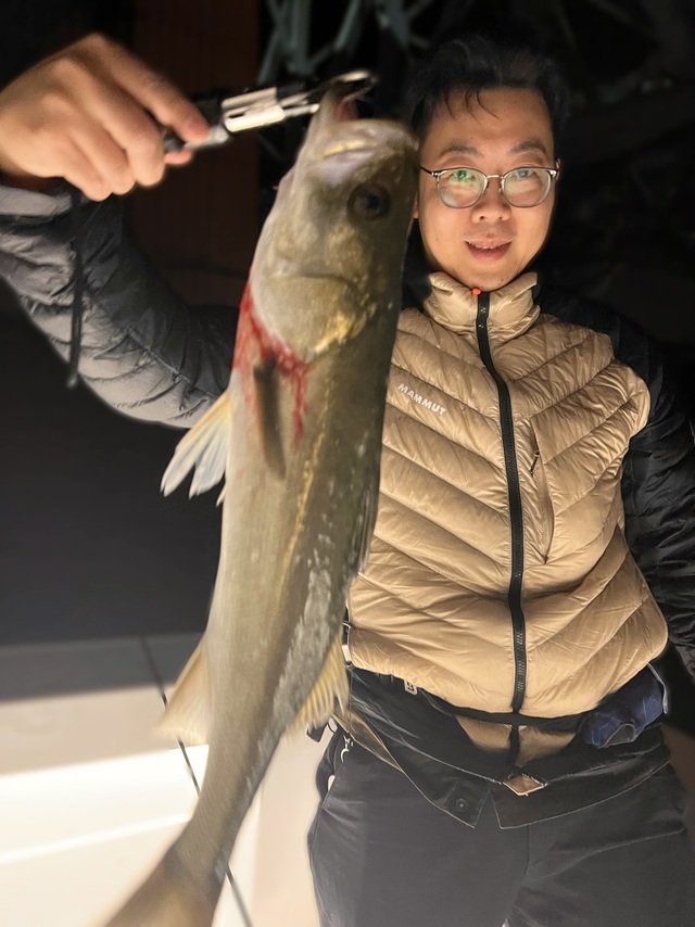 シーバス(スズキ)