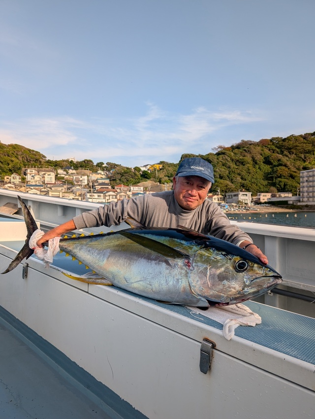 キハダマグロ(キハダ)