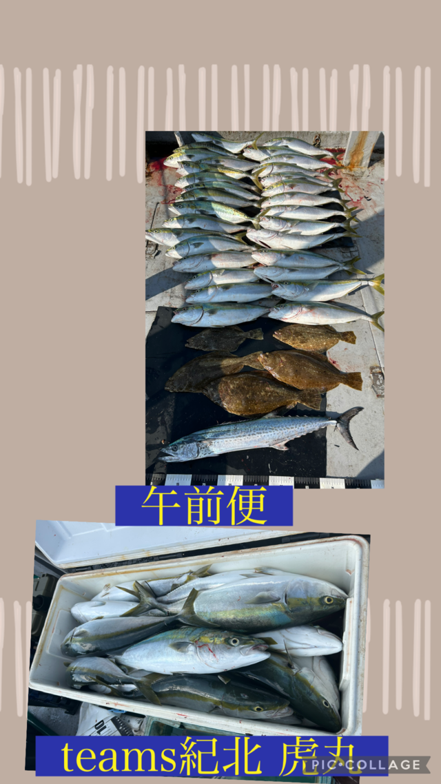 メジロ(ブリ)・サワラ・ヒラメ