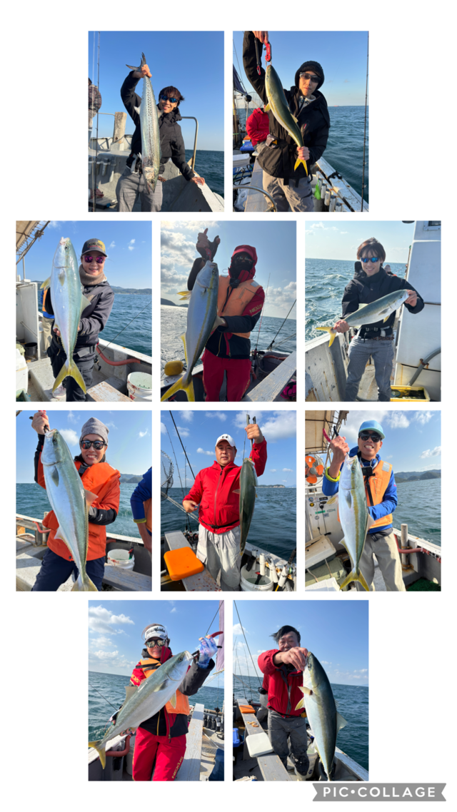 メジロ(ブリ)・サワラ