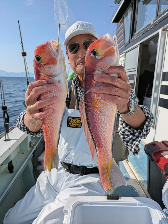 アマダイ(アカアマダイ)