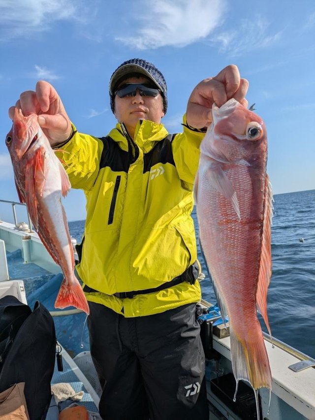 アマダイ(アカアマダイ)