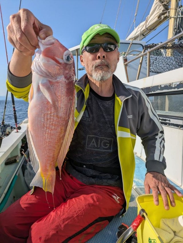 アマダイ(アカアマダイ)