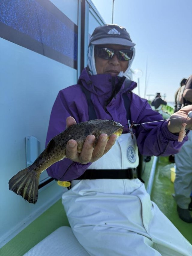 フグ(ショウサイフグ)