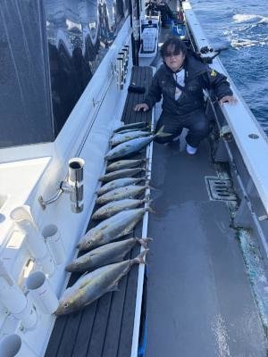 ツバス(ブリ)・メジロ(ブリ)・シオ(カンパチ)